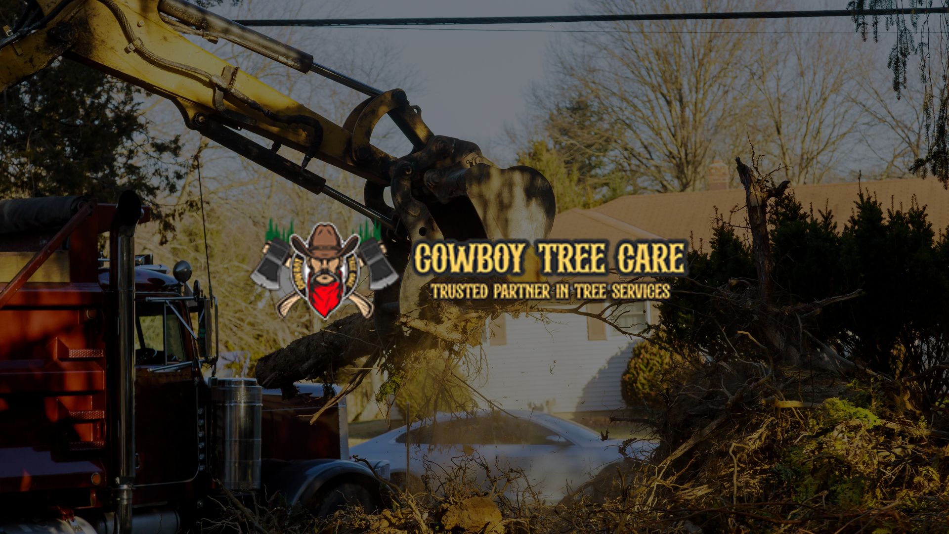 Professional stump grinding after tree removal